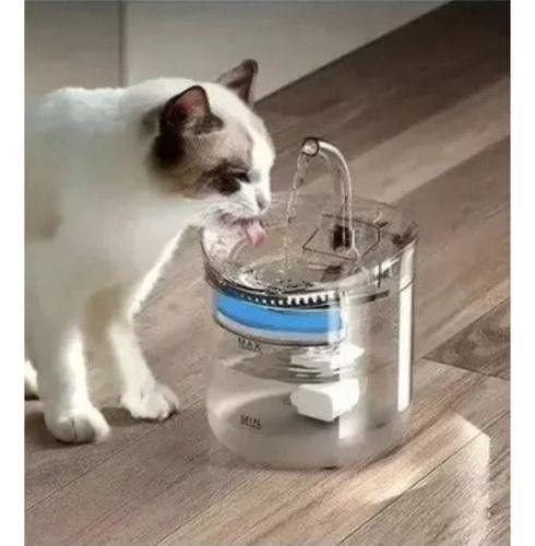 Miniatura 5 de FUENTE PARA GATO